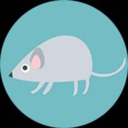 Alexander的个人资料头像