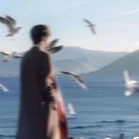 拾陸年头像
