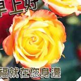 V宇睿头像
