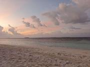 一个有理想的前端工程的个人资料头像