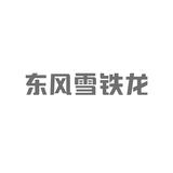 菏泽宏致雪铁龙头像