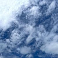 🌈筋头巴脑🦈头像