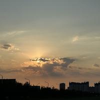 提溜个蒜茄脑袋头像