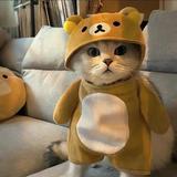 用户5622019592152头像