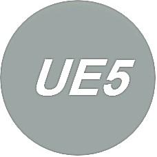 UE5虚幻引擎教程头像