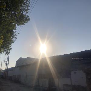 悦悦16222头像
