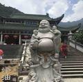 橄榄树40536头像