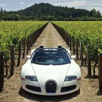 用户9060786113831头像