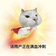 一个快乐的咸鱼的个人资料头像