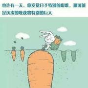 123木头人716的个人资料头像