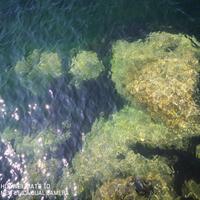 破隐法杖头像