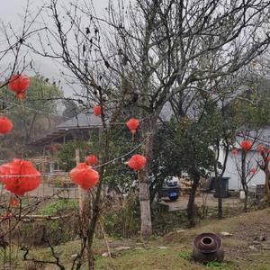 半湾小院