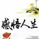 砍老虎杀苍蝇头像