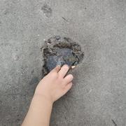 mlj182的个人资料头像