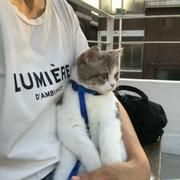 小鱼946的个人资料头像