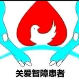 KV.集团头像