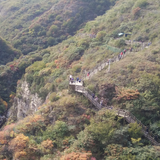 快乐4486274881617头像