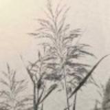 TERRA途达走四方头像