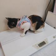 vertin的个人资料头像