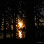 huo的个人资料头像