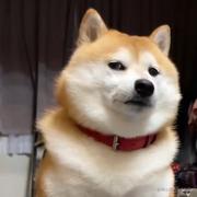 MinXin的个人资料头像