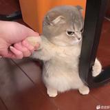用户4228167749819头像