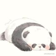 Fars的个人资料头像