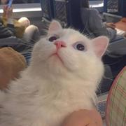 够鐘的个人资料头像