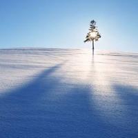 刺眼的太阳海尔售后头像