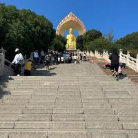 资溪县美丽约会百货店头像