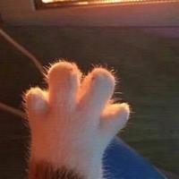 張丶先生丨头像
