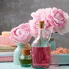 小然的自由头像