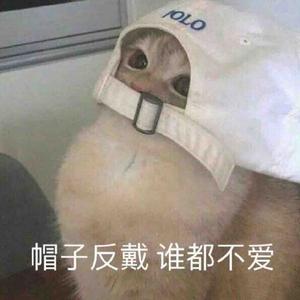 取尼玛的名字吧头像