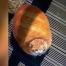 Steven21的个人资料头像