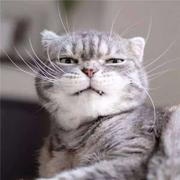 610643819的个人资料头像