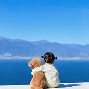 刘晓柳的个人资料头像