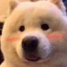 404notfoud的个人资料头像