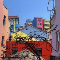 有趣的喜鹊q8Q头像