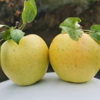 用户4106833075405头像