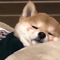 用户1434133438156头像