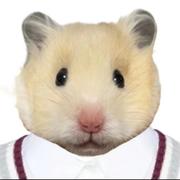 快乐鼠鼠的个人资料头像