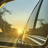 朴实枫叶jZw头像