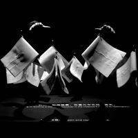 神仙王彭彭头像