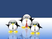 小鹏linux的个人资料头像