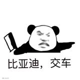 比亚迪等车200天头像