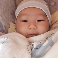 博学多才的忠实的客户头像