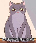 小比尔的个人资料头像