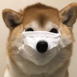 WANGKAI头像