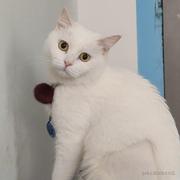 三分糖加冰的个人资料头像