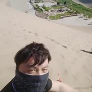 insist的个人资料头像